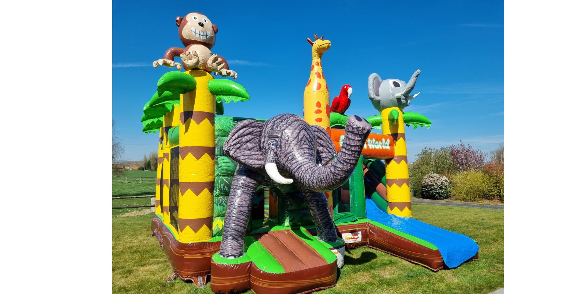 Safari Savane